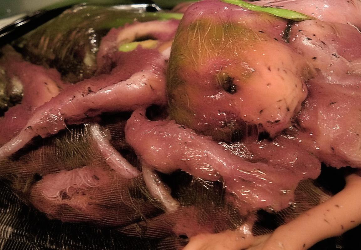 Yatoro在TI决赛操刀恐怖利刃与灰烬之灵创二十八杀纪录，改写历史